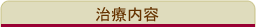 治療内容