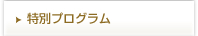 特別プログラム