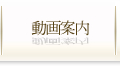 動画案内