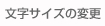 文字サイズ